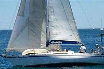 articles - buying-a-sailboat-what-should-i-choose